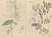 Sketchbook Pl072 - Ariyoshi Kondo — artwork view