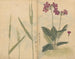 Sketchbook Pl073 - Ariyoshi Kondo — artwork view