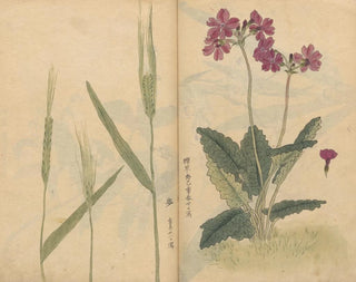 Sketchbook Pl073 - Ariyoshi Kondo — artwork view