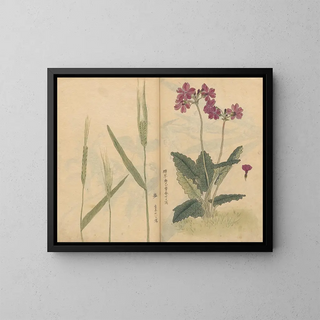 Sketchbook Pl073 - Ariyoshi Kondo — framed artwork on a wall