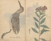Sketchbook Pl074 - Ariyoshi Kondo — artwork view