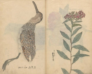 Sketchbook Pl074 - Ariyoshi Kondo — artwork view