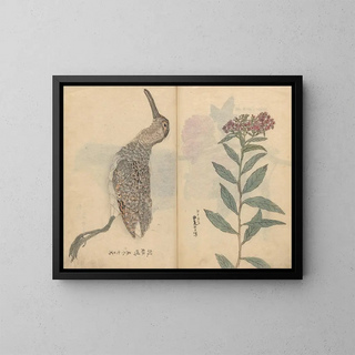 Sketchbook Pl074 - Ariyoshi Kondo — framed artwork on a wall