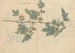 Sketchbook Pl075 - Ariyoshi Kondo — artwork view