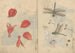 Sketchbook Pl076 - Ariyoshi Kondo — artwork view