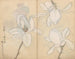 Sketchbook Pl077 - Ariyoshi Kondo — artwork view