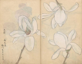 Sketchbook Pl077 - Ariyoshi Kondo — artwork view