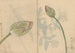 Sketchbook Pl078 - Ariyoshi Kondo — artwork view