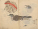 Sketchbook Pl081 - Ariyoshi Kondo — artwork view