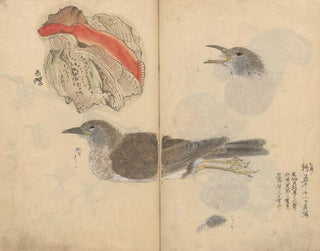 Sketchbook Pl081 - Ariyoshi Kondo — artwork view