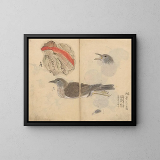 Sketchbook Pl081 - Ariyoshi Kondo — framed artwork on a wall