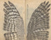 Sketchbook Pl082 - Ariyoshi Kondo — artwork view