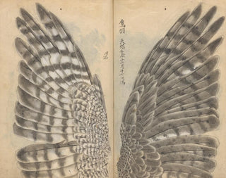 Sketchbook Pl082 - Ariyoshi Kondo — artwork view