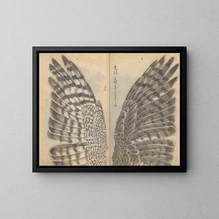 Sketchbook Pl082 - Ariyoshi Kondo — framed artwork on a wall
