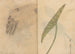 Sketchbook Pl084 - Ariyoshi Kondo — artwork view