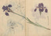 Sketchbook Pl085 - Ariyoshi Kondo — artwork view