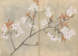 Ariyoshi Kondo - Sketchbook Pl088.webp