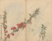 Sketchbook Pl090 - Ariyoshi Kondo — artwork view