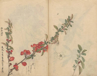 Sketchbook Pl090 - Ariyoshi Kondo — artwork view