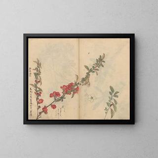 Sketchbook Pl090 - Ariyoshi Kondo — framed artwork on a wall