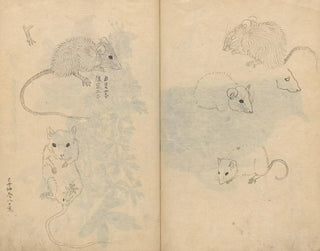 Sketchbook Pl092 - Ariyoshi Kondo — artwork view