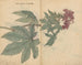 Sketchbook Pl095 - Ariyoshi Kondo — artwork view