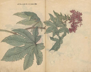 Sketchbook Pl095 - Ariyoshi Kondo — artwork view