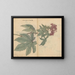 Sketchbook Pl095 - Ariyoshi Kondo — framed artwork on a wall