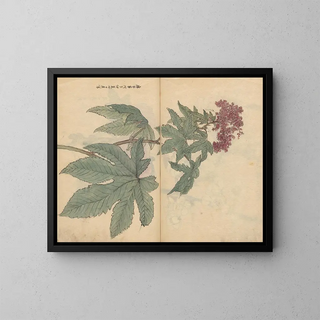 Sketchbook Pl095 - Ariyoshi Kondo — framed artwork on a wall