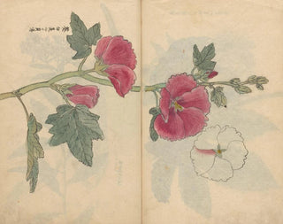 Sketchbook Pl097 - Ariyoshi Kondo — artwork view