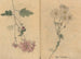 Sketchbook Pl098 - Ariyoshi Kondo — artwork view