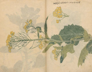 Sketchbook Pl099 - Ariyoshi Kondo — artwork view