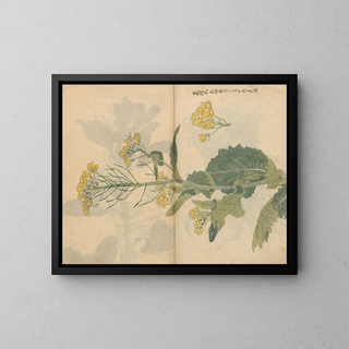Sketchbook Pl099 - Ariyoshi Kondo — framed artwork on a wall