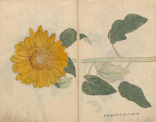 Sketchbook Pl103 - Ariyoshi Kondo — artwork view
