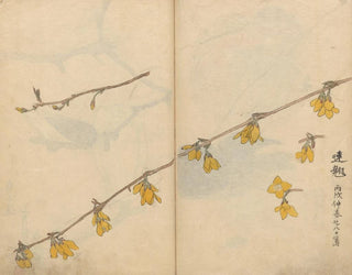 Sketchbook Pl104 - Ariyoshi Kondo — artwork view