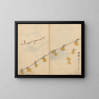 Sketchbook Pl104 - Ariyoshi Kondo — framed artwork on a wall
