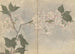 Sketchbook Pl105 - Ariyoshi Kondo — artwork view