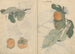 Sketchbook Pl106 - Ariyoshi Kondo — artwork view
