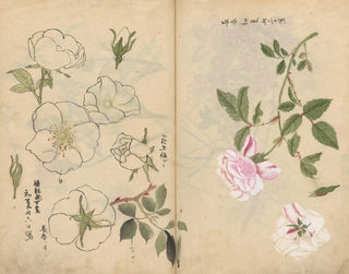 Sketchbook Pl107 - Ariyoshi Kondo — artwork view