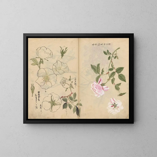 Sketchbook Pl107 - Ariyoshi Kondo — framed artwork on a wall