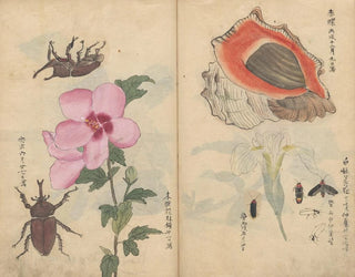 Sketchbook Pl108 - Ariyoshi Kondo — artwork view