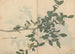Sketchbook Pl109 - Ariyoshi Kondo — artwork view