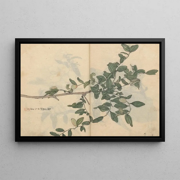 Sketchbook Pl109 - Ariyoshi Kondo — framed artwork on a wall