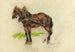 Study of a horse - Armand Guillaumin — artwork view