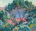 La Baie d'Agay - Armand Guillaumin — artwork view