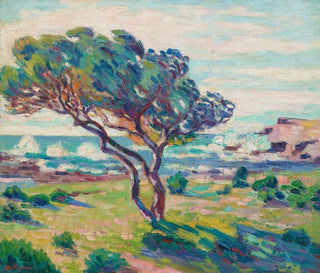 Landscape of the South seen from Le Brusc - Armand Guillaumin — artwork view