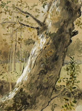 Landscape Study in Vendée La Roche-sur-Yon Tree Trunk - Arthur Joseph Gueniot — artwork view