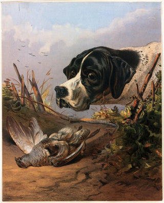 Head of a dog - Arthur Fitzwilliam Tait — artwork view