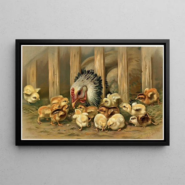 Kluck Kluck - Arthur Fitzwilliam Tait — framed artwork on a wall