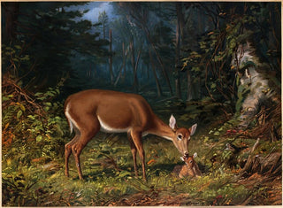 Motherly Love - Arthur Fitzwilliam Tait — artwork view